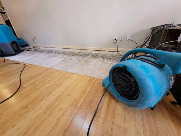 Professional Water Damage Repair technician working in Levittown, NY